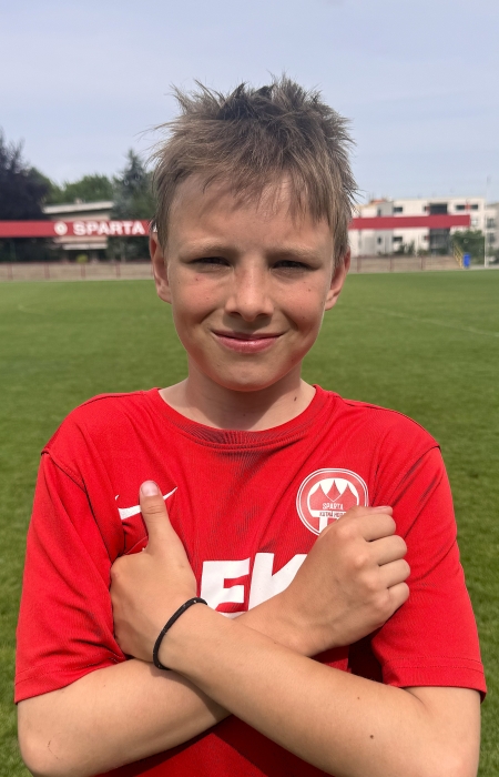 David Šamša