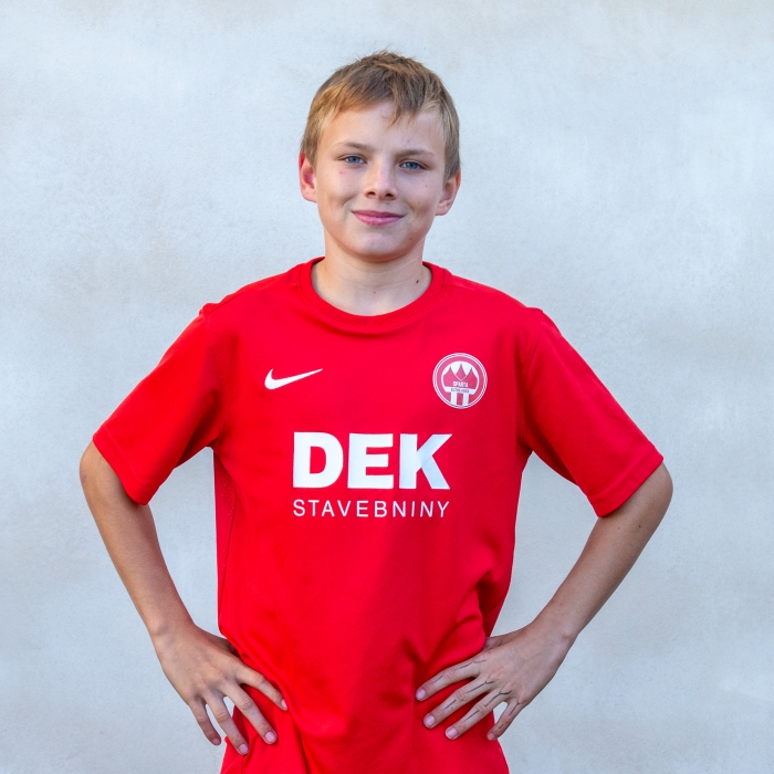 David Šamša